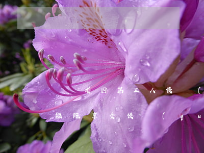 勞動者因第三人侵權(quán)造成工傷，能既享受侵權(quán)賠償又享受的工傷待遇？